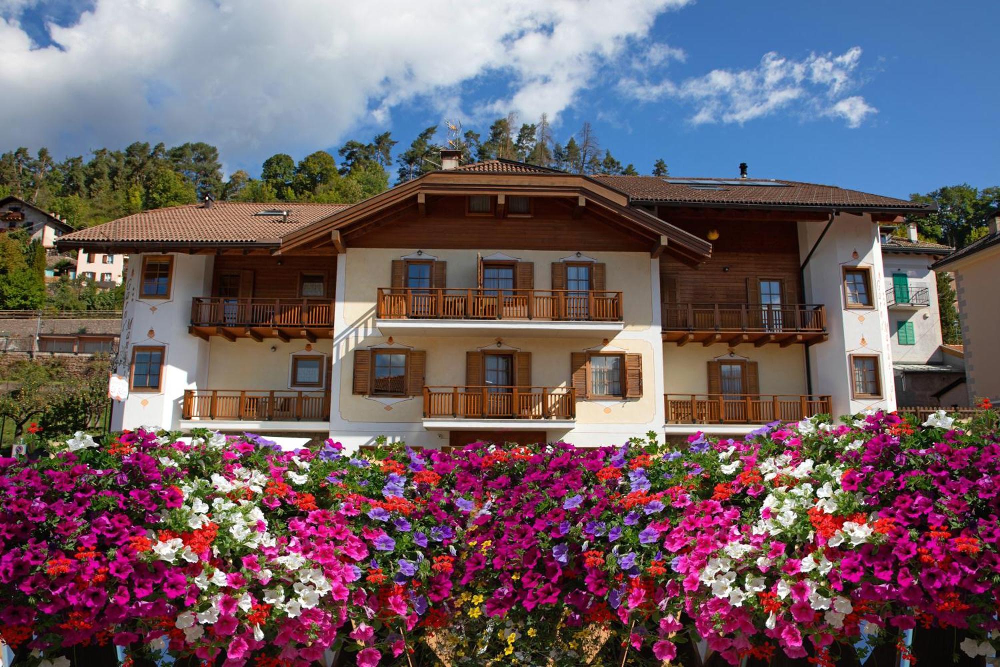 Residence Garni Manuela Cavalese Exterior foto